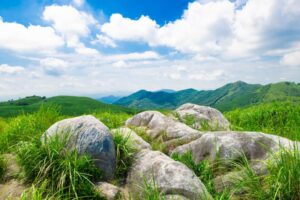 平尾台の眺望の画像