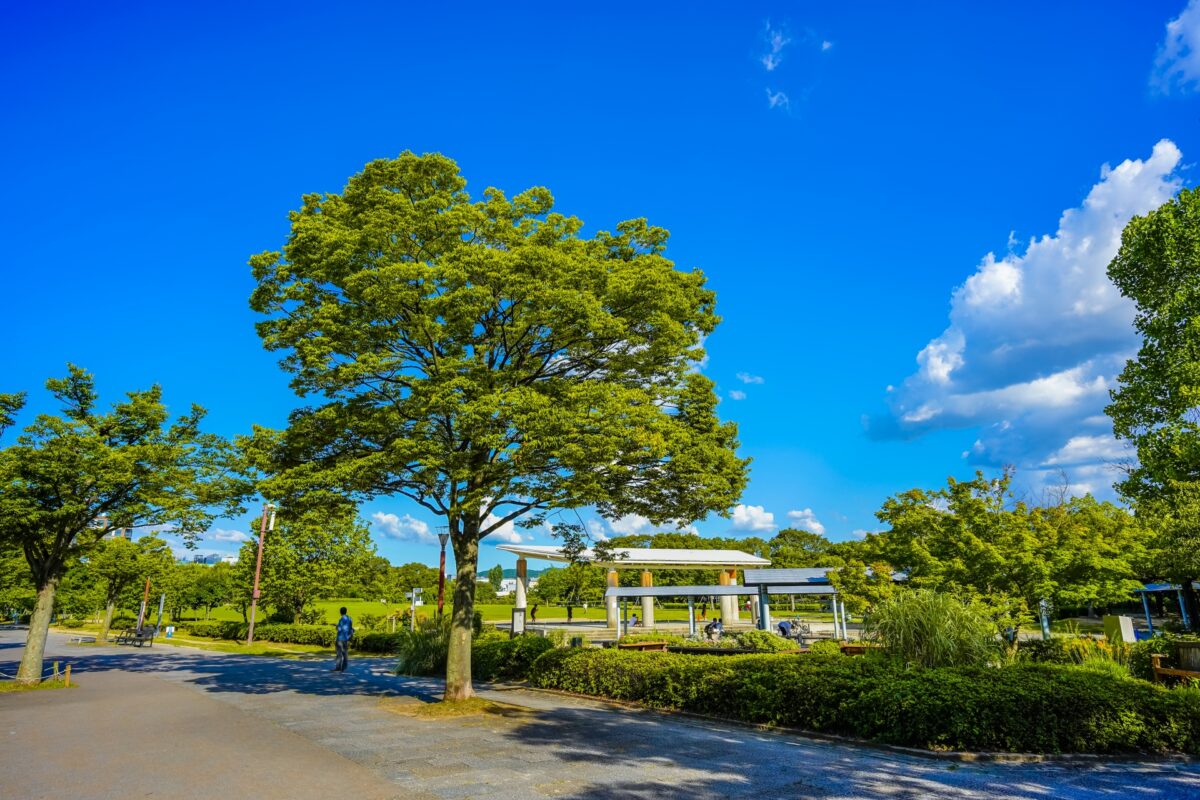 京都梅小路公園の写真